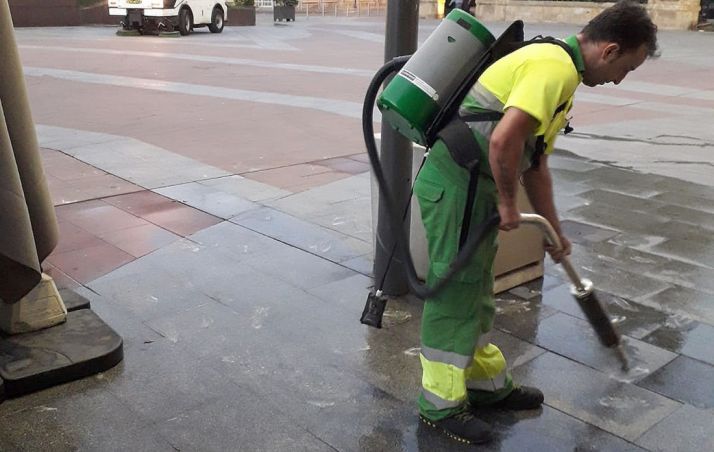 Un operario en labores de limpieza de este residuo. /Ayto.