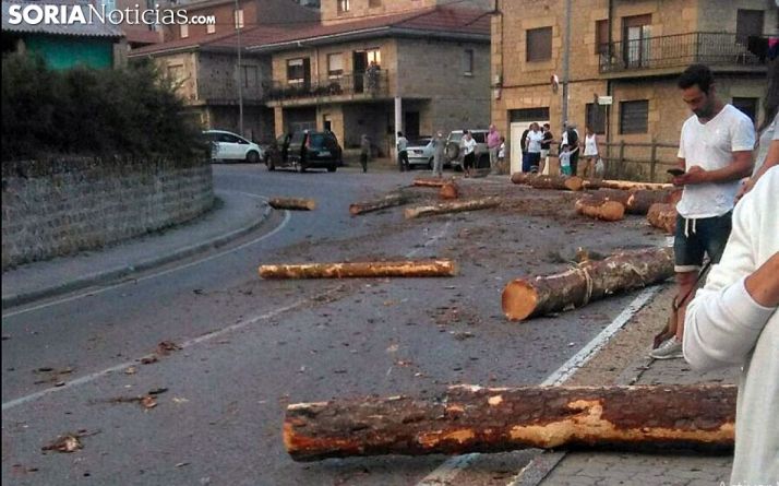 Parte de la carga extendida por la calzada. /SJB