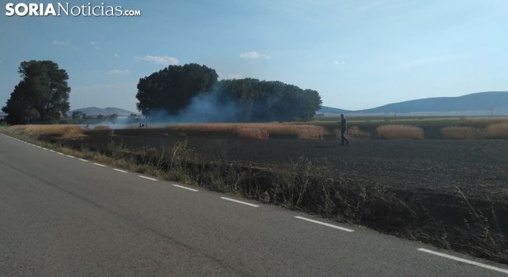 Una imagen del paraje incendiado. /SN