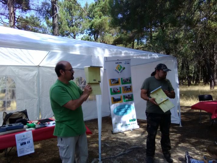 Apadrina una colonia de murciélagos, en Valonsadero. Cedida