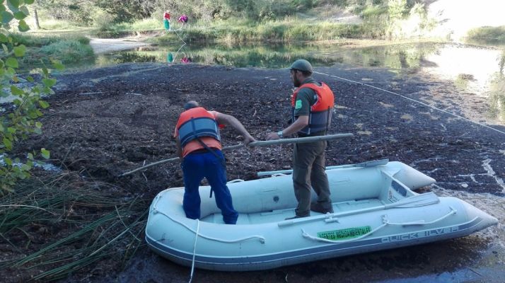 Una imagen de las labores de estos días. /Jta.