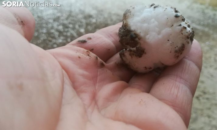 Pedrisco caído en Ágreda el 20 de julio. /SN