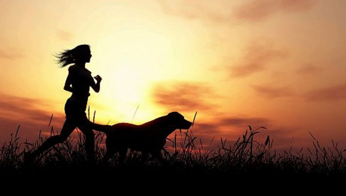 Piden la revisión de la normativa sobre mascotas