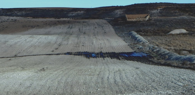 Asden denuncia la falta de vigilancia de los purines en Soria