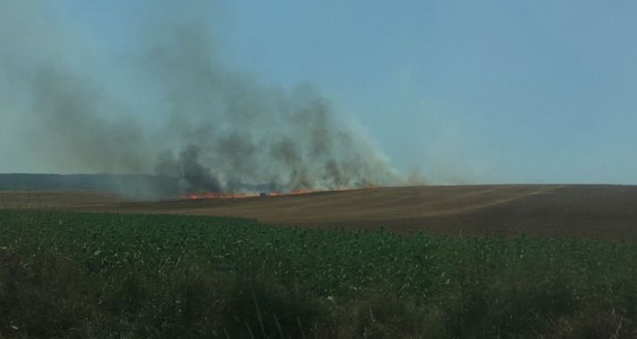 Controlado el incendio en La Milana