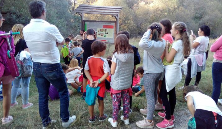 Una imagen de la jornada. /Dip.