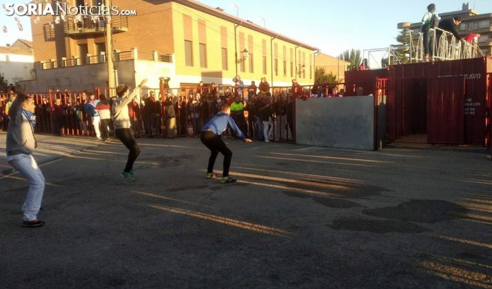 Tramo de los corrales provisionales en el encierro olvegueño de estas fiestas. /SN