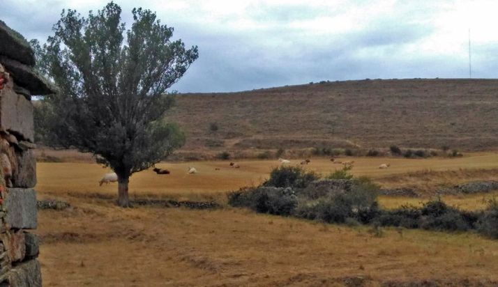 El monte donde está previsto el parque. A la derecha, la torre de medición. 
