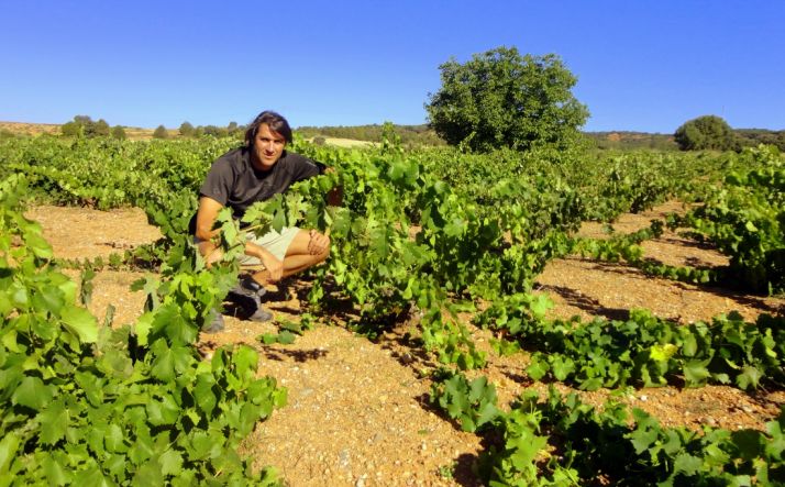  La publicación The Wine Advocate destaca la calidad del vino soriano Taruguín