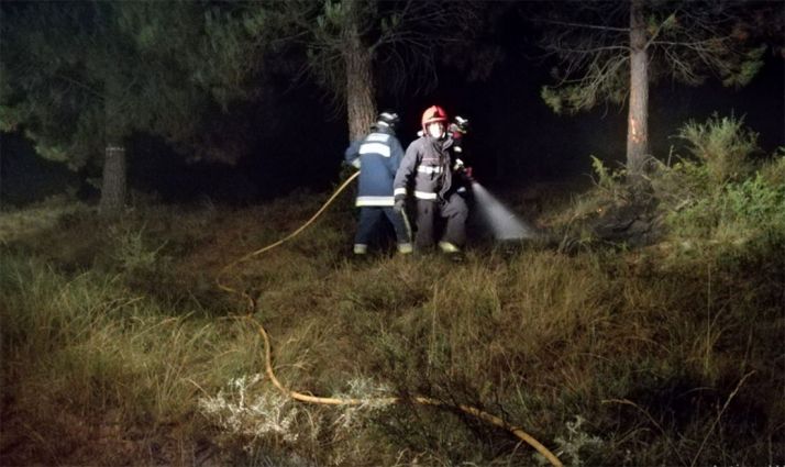 Bomberos en su actuación en Tejerizas. /Dip.
