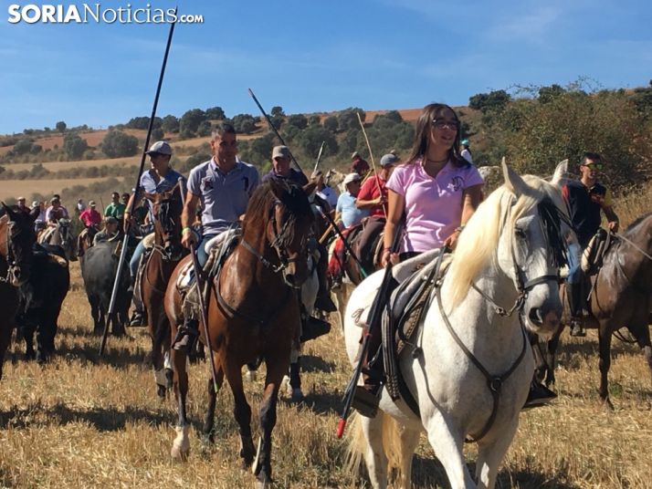 La trashumancia de Ágreda repite éxito por tercer año