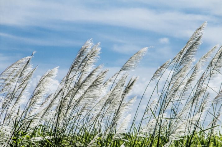 Las nubes se expanden y bajan las temperaturas mínimas