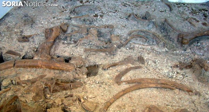 Una imagen del yacimiento. /SN