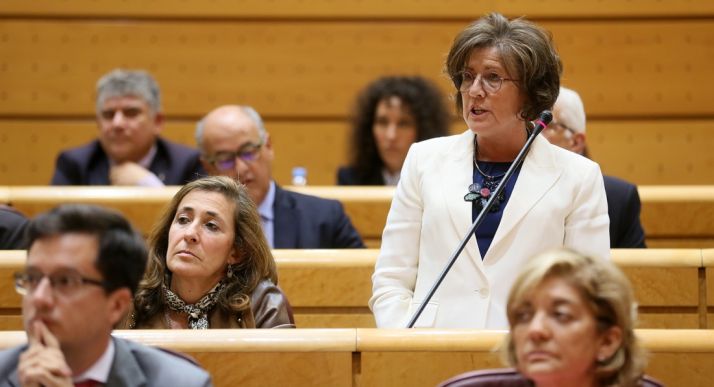 Angulo, en su intervención en el Senado. 