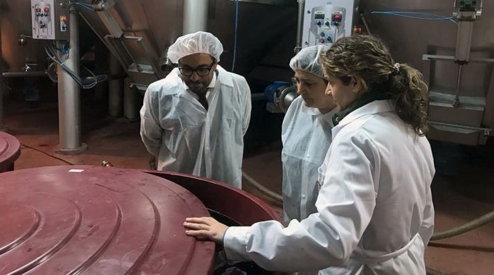 El presidente de la Diputación, junto a la alcaldesa sanestebeña y una técnico de las bodegas. /Dip.