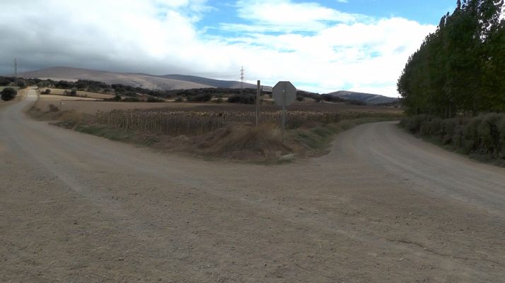 Uno de los caminos en los que se ha actuado. /AO