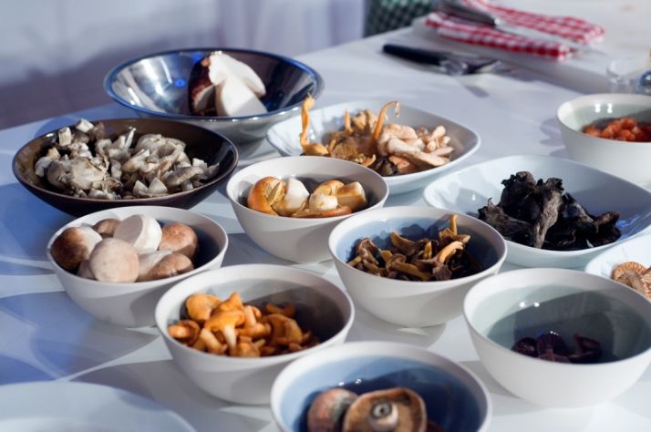 La sexta edición del congreso bianual ‘Soria Gastronómica’ se transforma en cita multidisciplinar para extraer toda la esencia al reino fungi.