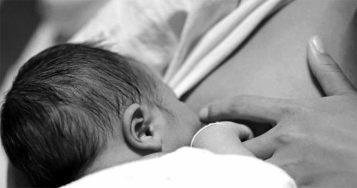 El Campus de Soria se une a la Semana Mundial de la Lactancia Materna con un curso de formación