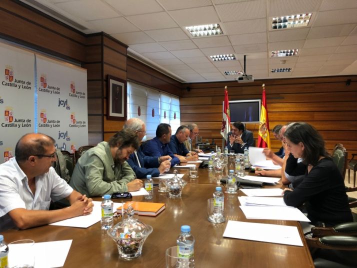 Reunión por la gestión del lobo al norte del Duero
