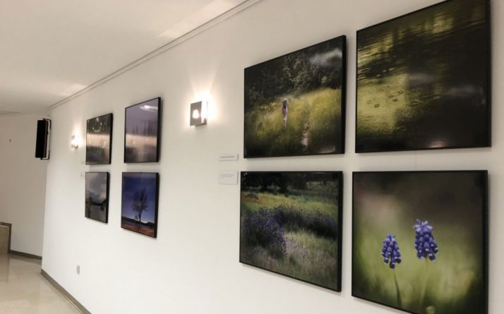 8 fotógrafos sorianos exponen desde hoy sus obras