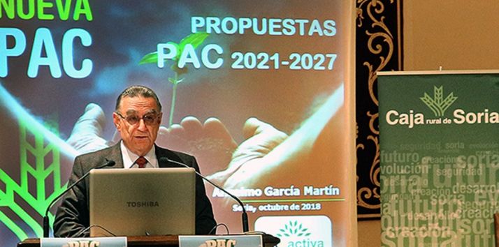 El director de Soriactiva, este jueves en la ponencia. /FSA 