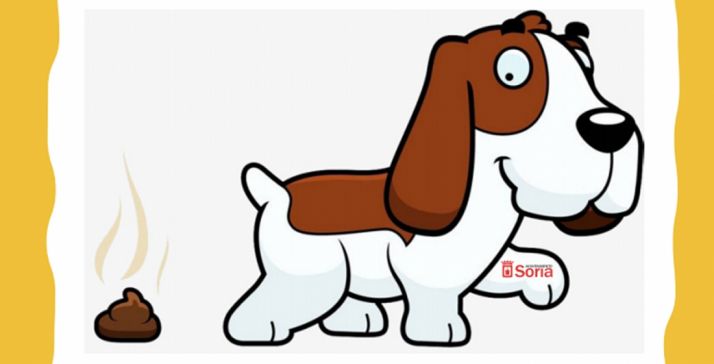 ‘Soria perruna’ y ‘Perrunos por Soria’ llaman a la higiene de las mascotas en la calle