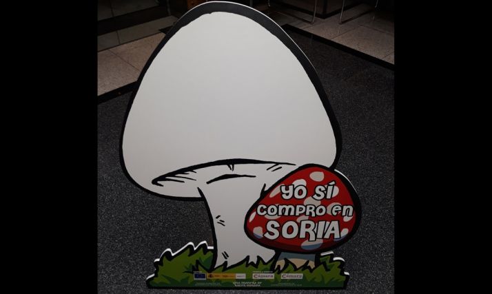 El soporte a decorar para esta campaña. /CCIS