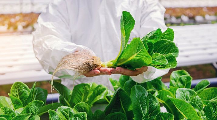 Crecen un 7% las exportaciones hortofrutícolas de la Comunidad