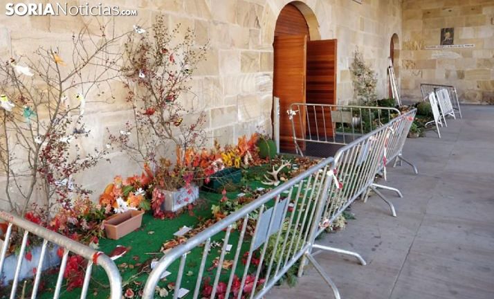 Recreación natural micológica a la entrada de La Audiencia esta mañana de martes. /SN