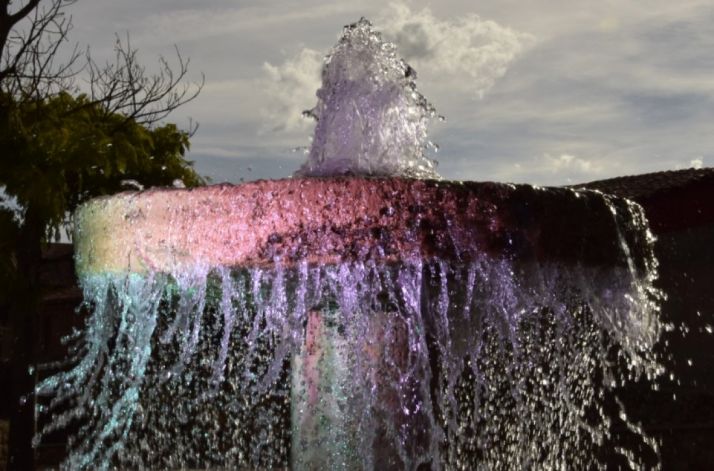 Un  detalle de la imagen ganadora. /JIH