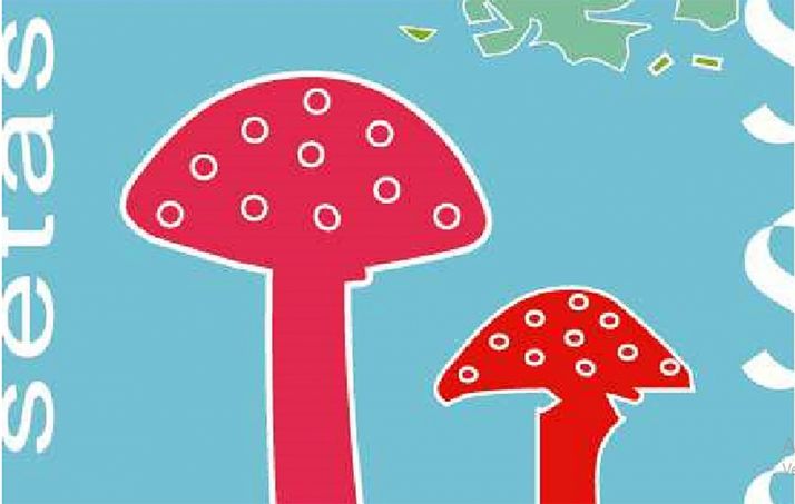 Detalle de la portada de esta edición