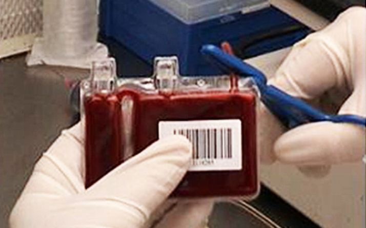 El Chemcyl cumple 15 años apostando por la innovación y el desarrollo científico