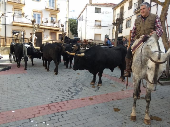 GALERÍA: Borobia revive su historia trashumante