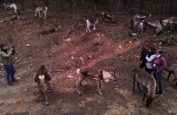 El proyecto Laponias Conectadas llega a su fin tras un año de intercambio de experiencias