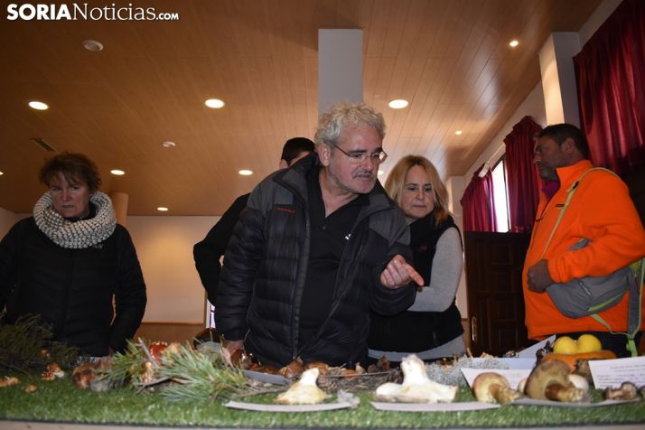 GALERÍA: Vinuesa disfruta y aprende con sus jornadas micológicas