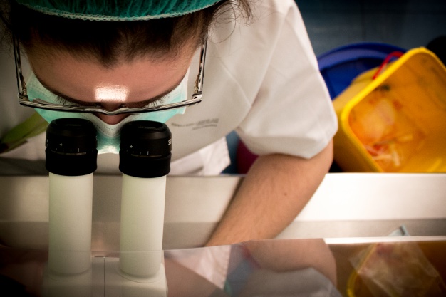 La Junta pretende reducir la brecha de género en las carreras científicas y tecnológicas