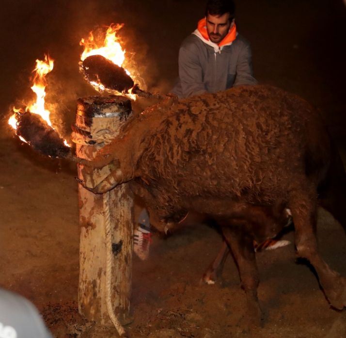 Anticapitalistas lanzan una campaña contra el Toro Jubilo en las Universidades