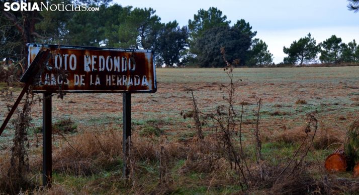FOTOS: El silencio navideño de Alconaba