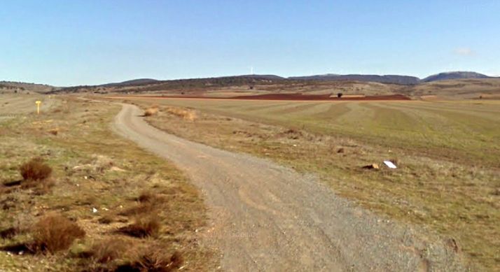 Un camino rural en el término de Hinojosa del Campo. /GM