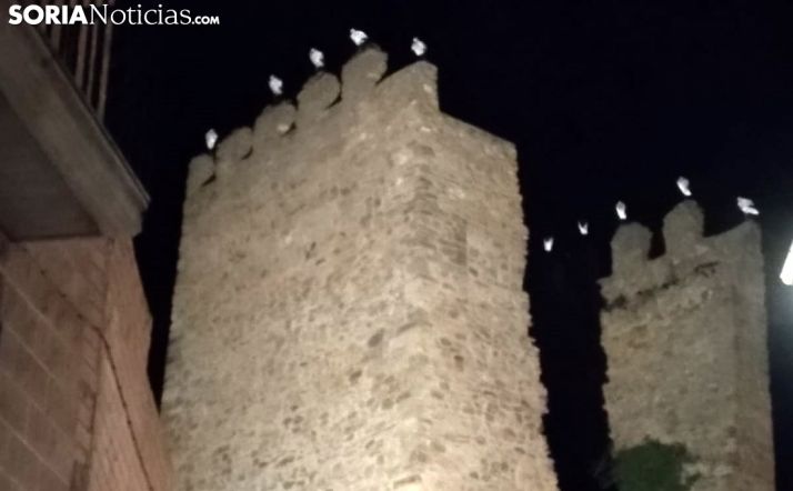 Imagen de las aves en las almenas del torreón esta noche. /SN