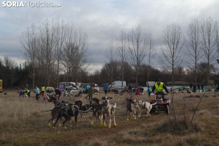 Galería de fotos: Los mushers y sus perros tiran de Ocenilla en la IV Spain Long Distance