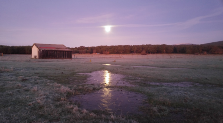Paraje de Duruelo de la Sierra de Madrugada. /Agustín Sandoval