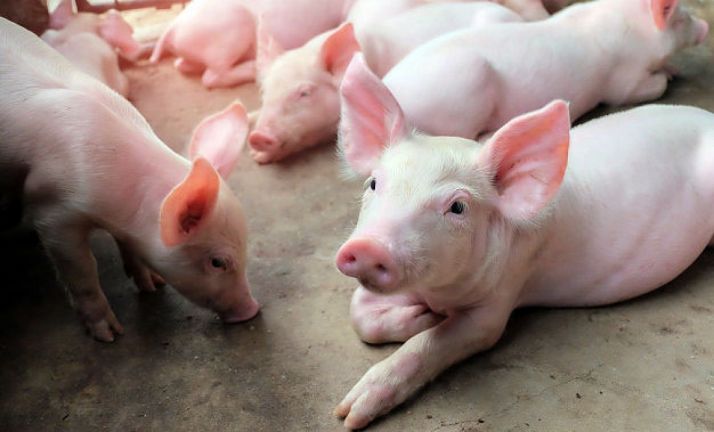 UPA insta a las administraciones a no ser rehenes de  urbanitas y domingueros