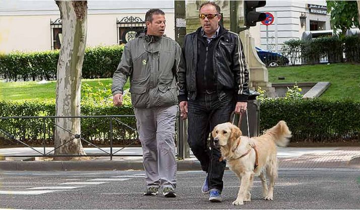 La Junta resalta el compromiso y coordinación entre Junta y ONCE en la igualdad e integración de las personas con discapacidad