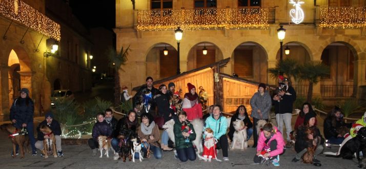 Navidades perrunas en la capital