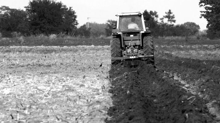 Piden ampliar el plazo de contratación del seguro para el cereal
