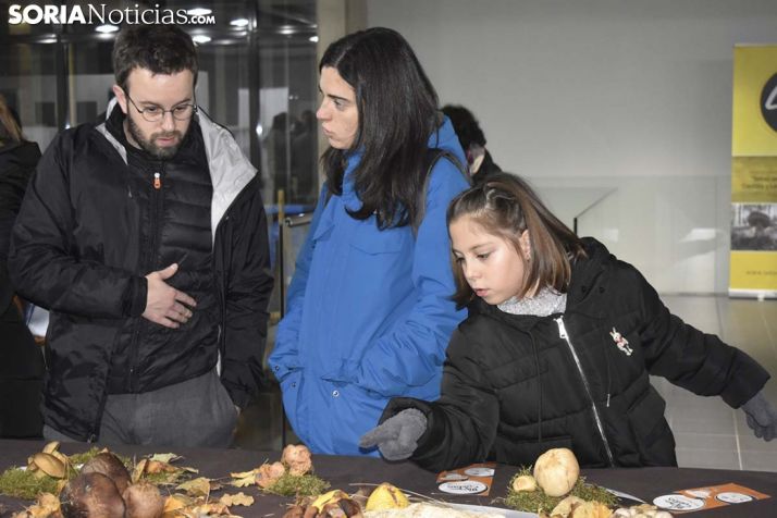 GALERÍA: El mercado se llena con Mercasetas