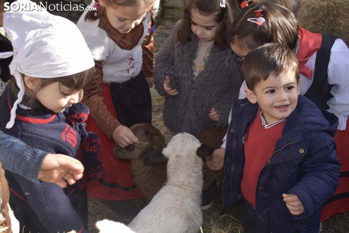 Belén viviente de Duruelo de la Sierra.