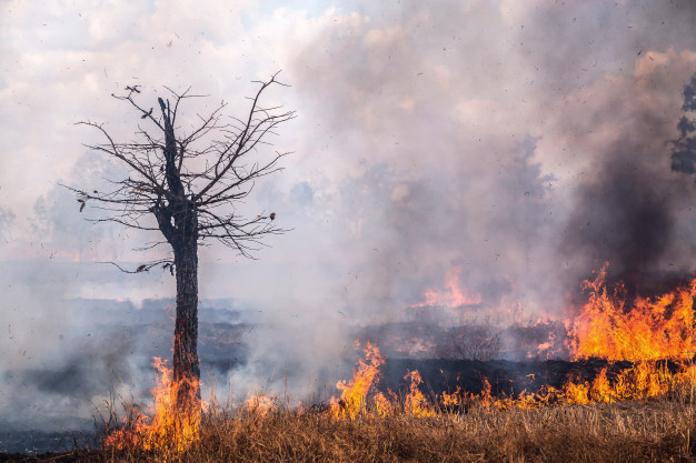 Grandes incendios en Canadá afectan a la atmósfera de Castilla y León