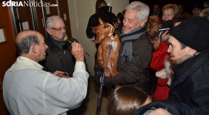 San Antón vuelve para proteger a las mascotas